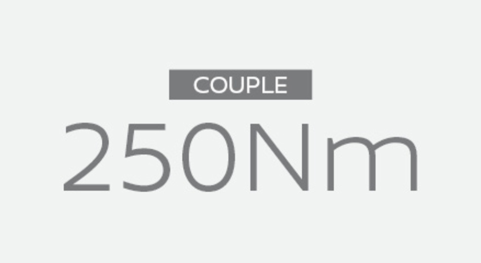 Qashqai Couple 250Nm